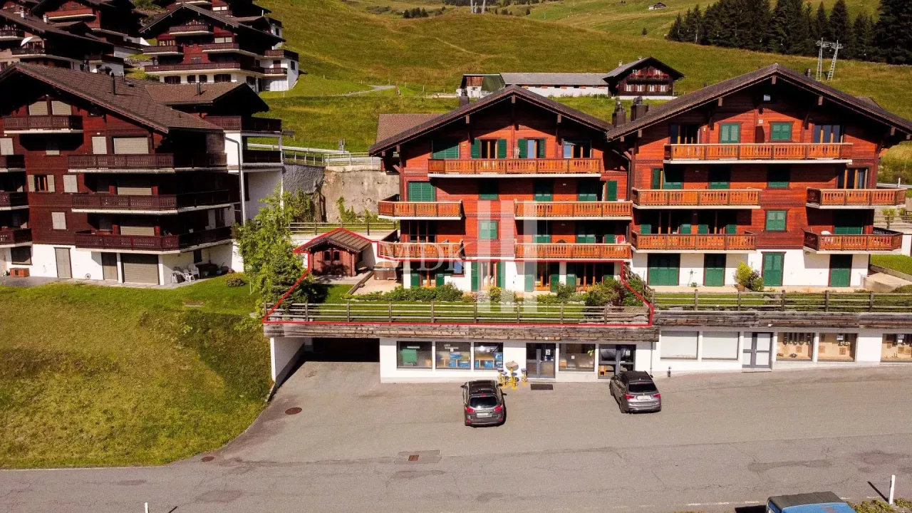 Magnifique appartement avec vue sur les Dents-du-Midi