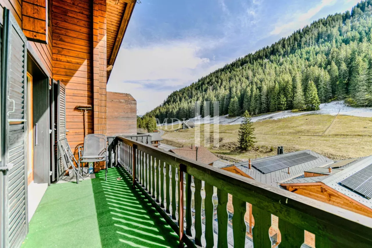 Charming apartment close to the ski slopes