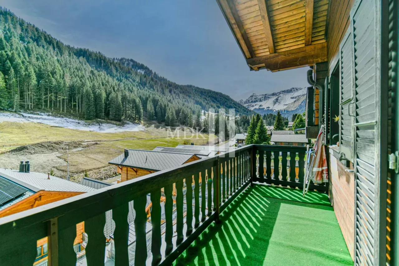 Charming apartment close to the ski slopes