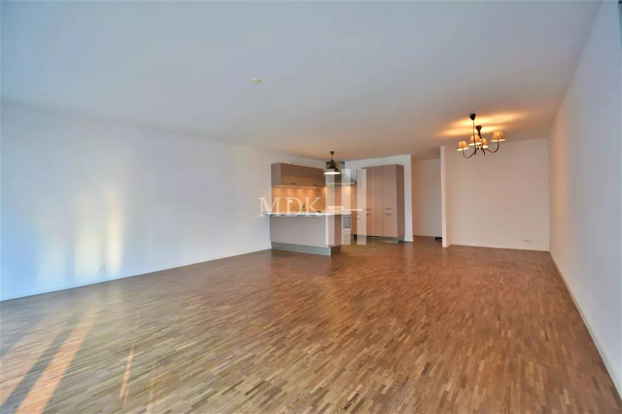 Spacious, bright downtown apartment