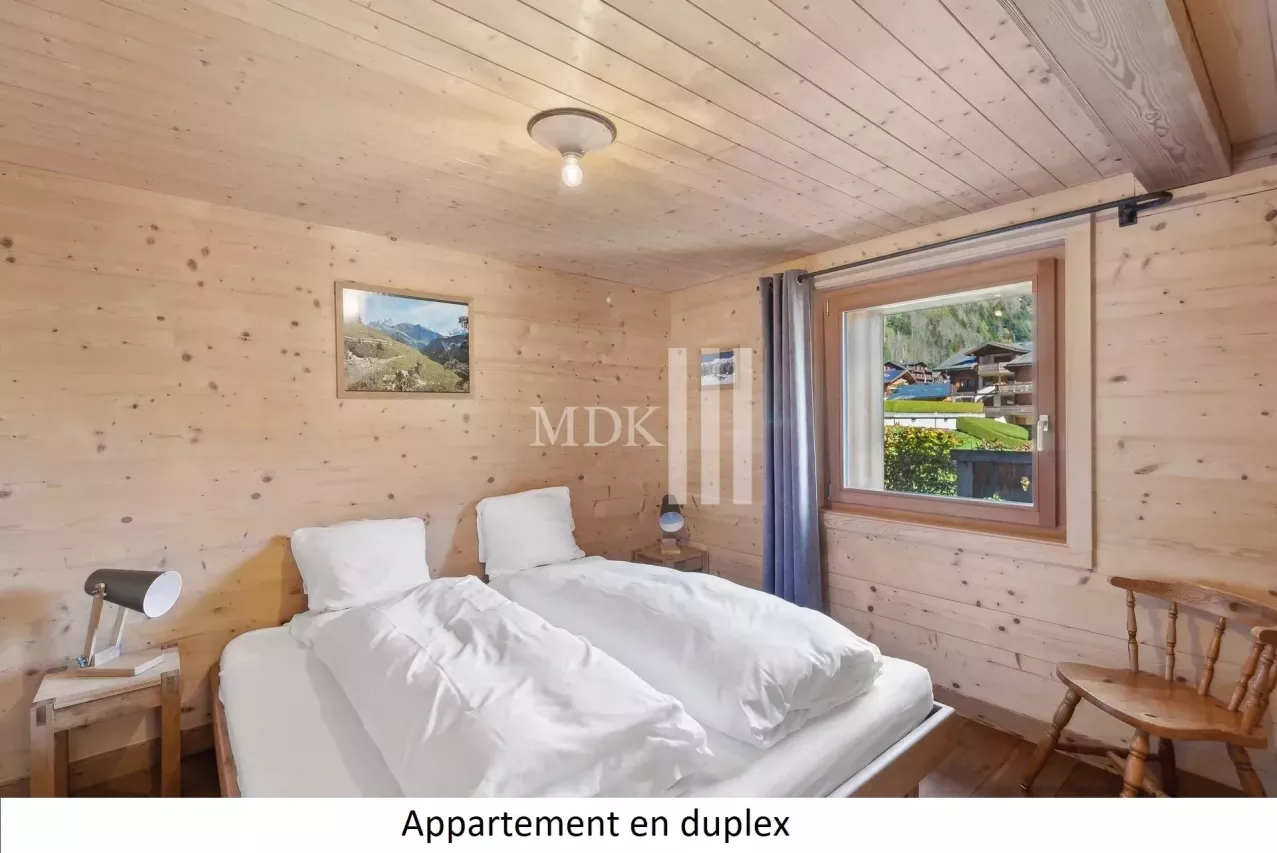 Magnifique chalet de deux appartements