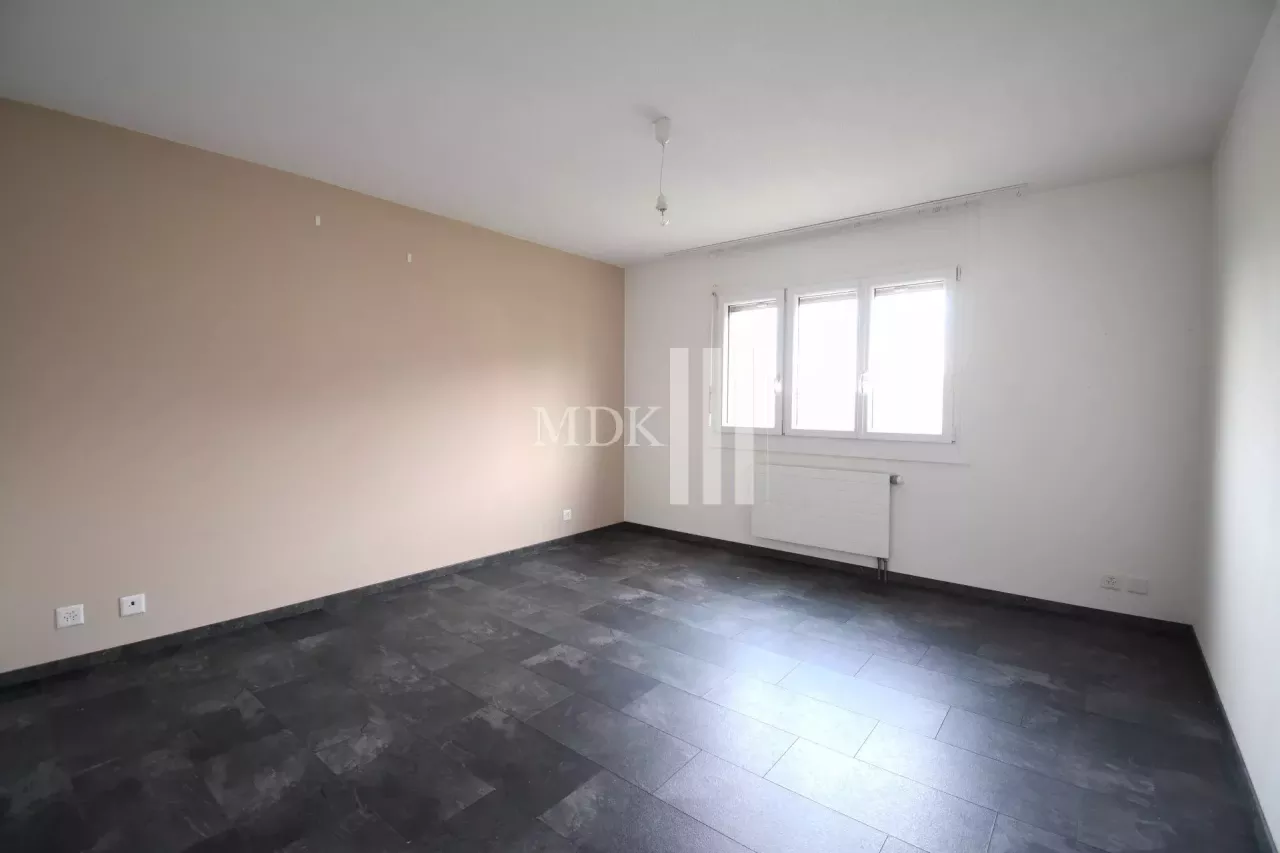 4.5 room apartment for rent in Massongex