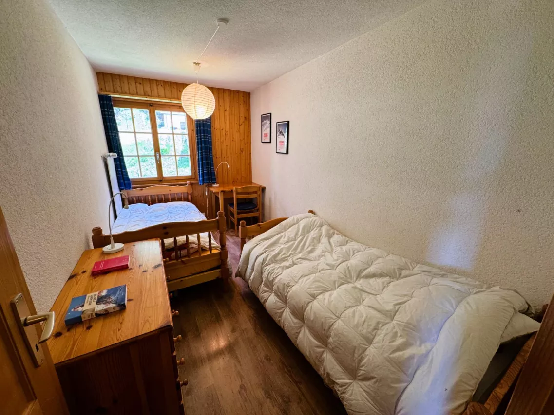 Appartement 3,5 pièces Evolène