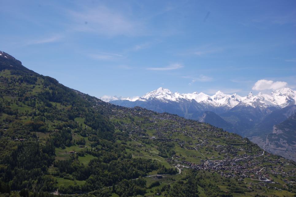 Terrain à Clèbes (Nendaz)