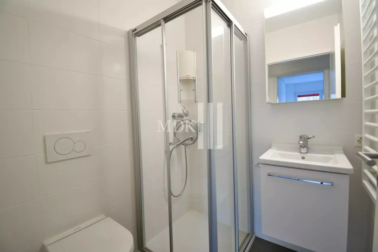 Appartement 4.5 pièces à Monthey