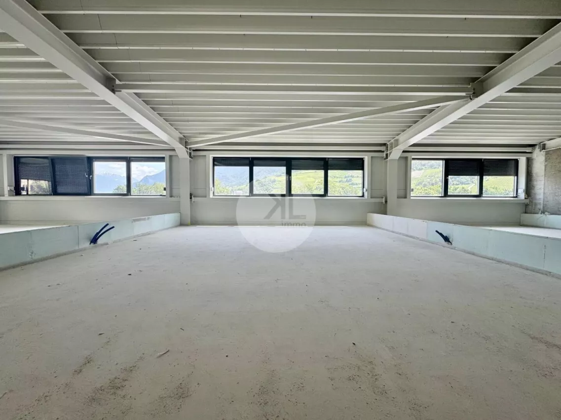 Artisanal 50 m2 à Granges VS