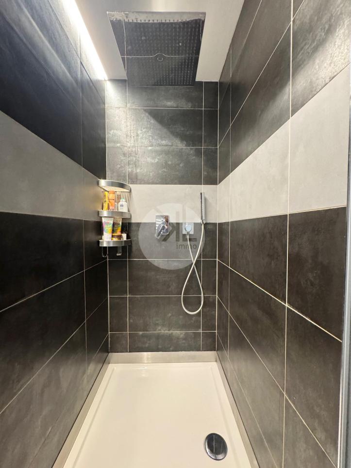 Villa Individuelle 5.5 pièces à Salins