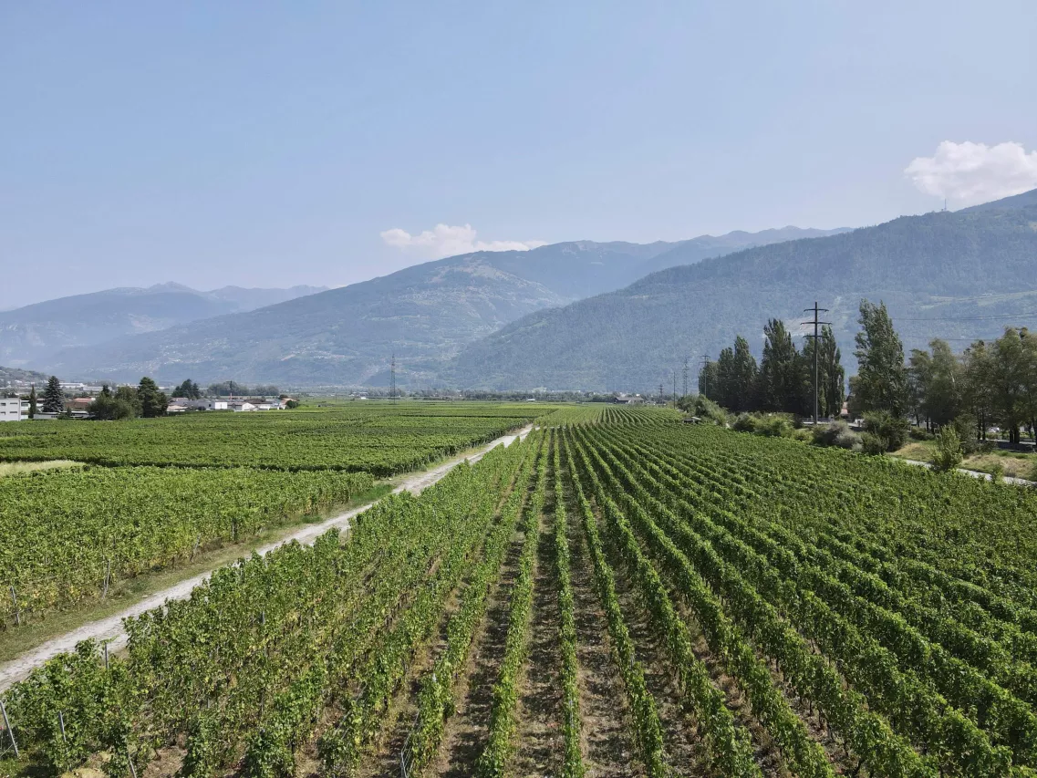 Les Amignes - 4.5 pièces