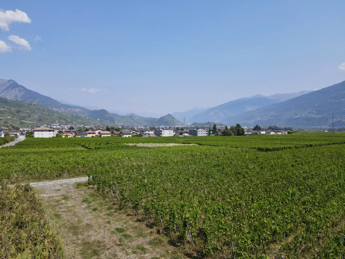 Les Amignes - 2.5 pièces rez