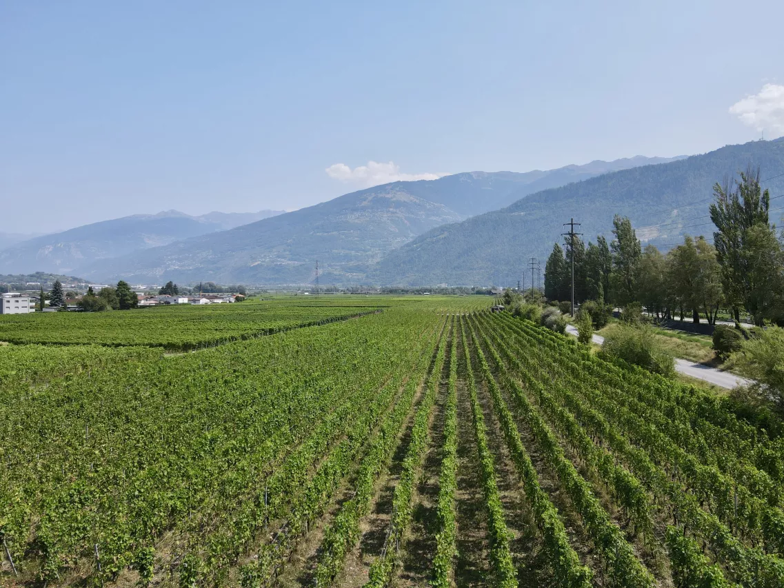 Les Amignes - 2.5 pièces rez