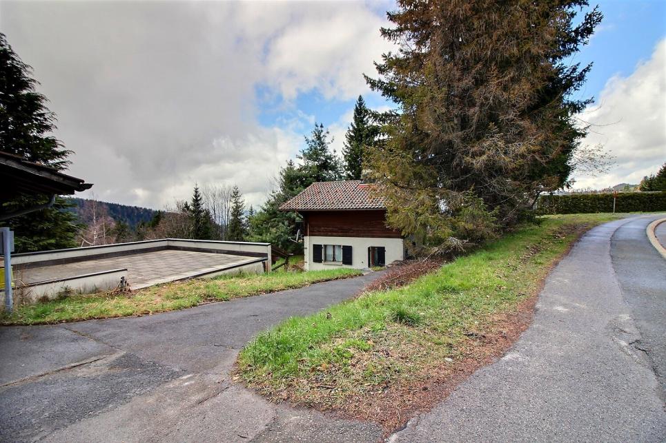 Ollon VD - Chalet 5 pièces à Ollon VD