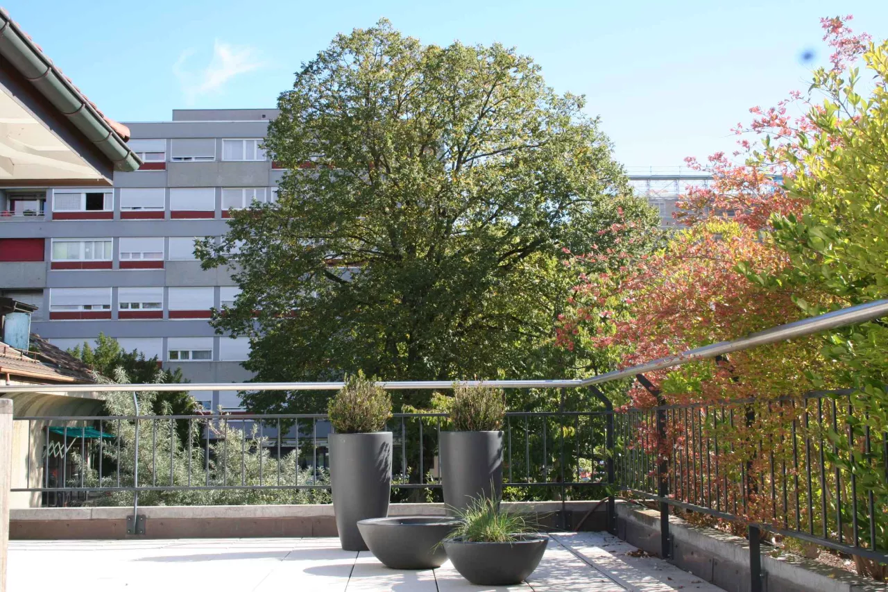Genève - Superbe attique avec terrasse & ascenseur privatif