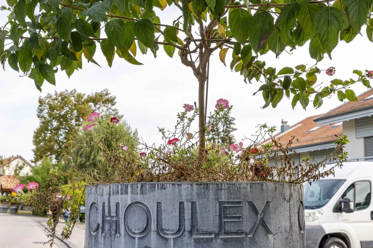 Choulex - Sublime attique au coeur de Choulex