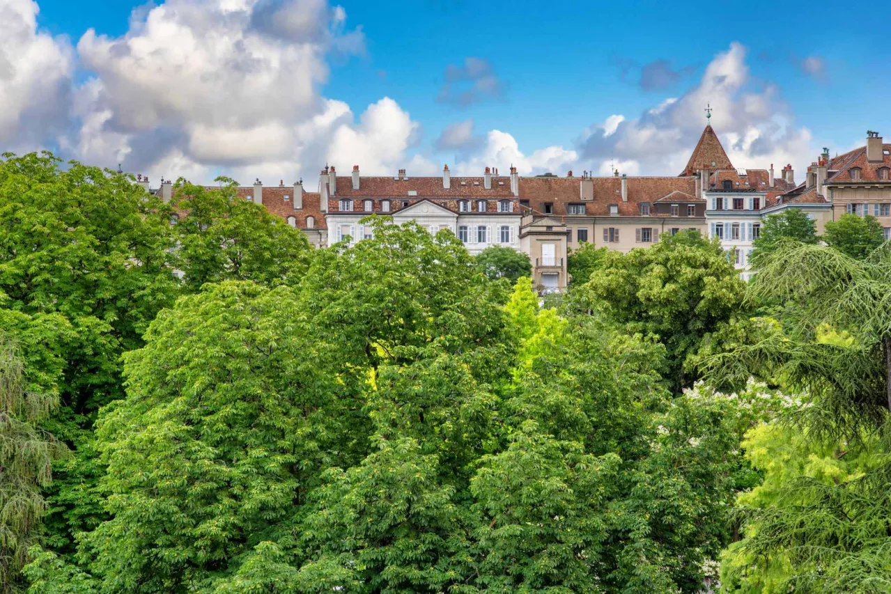 Genève - Élégant Appartement de 7 pièces  Rénové au Cur de Genève, Proche du Parc des Bastions