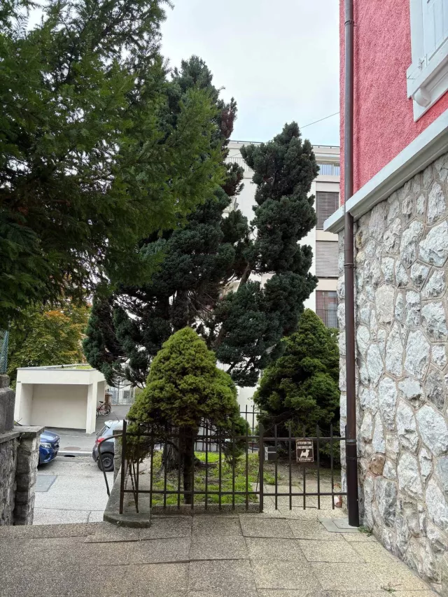 Lausanne - Appartement de 2 pièces au rez-de-chaussée