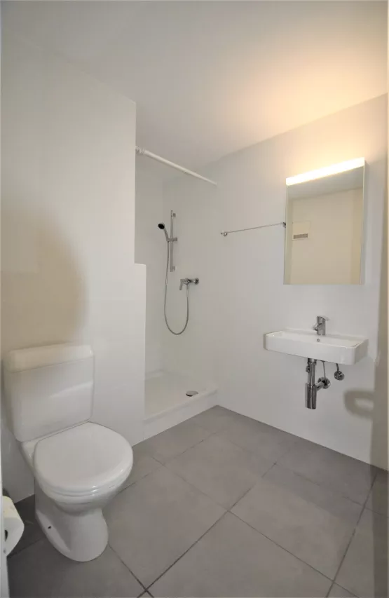 Reprise de bail - Appartement de 4.5 pièces en duplex