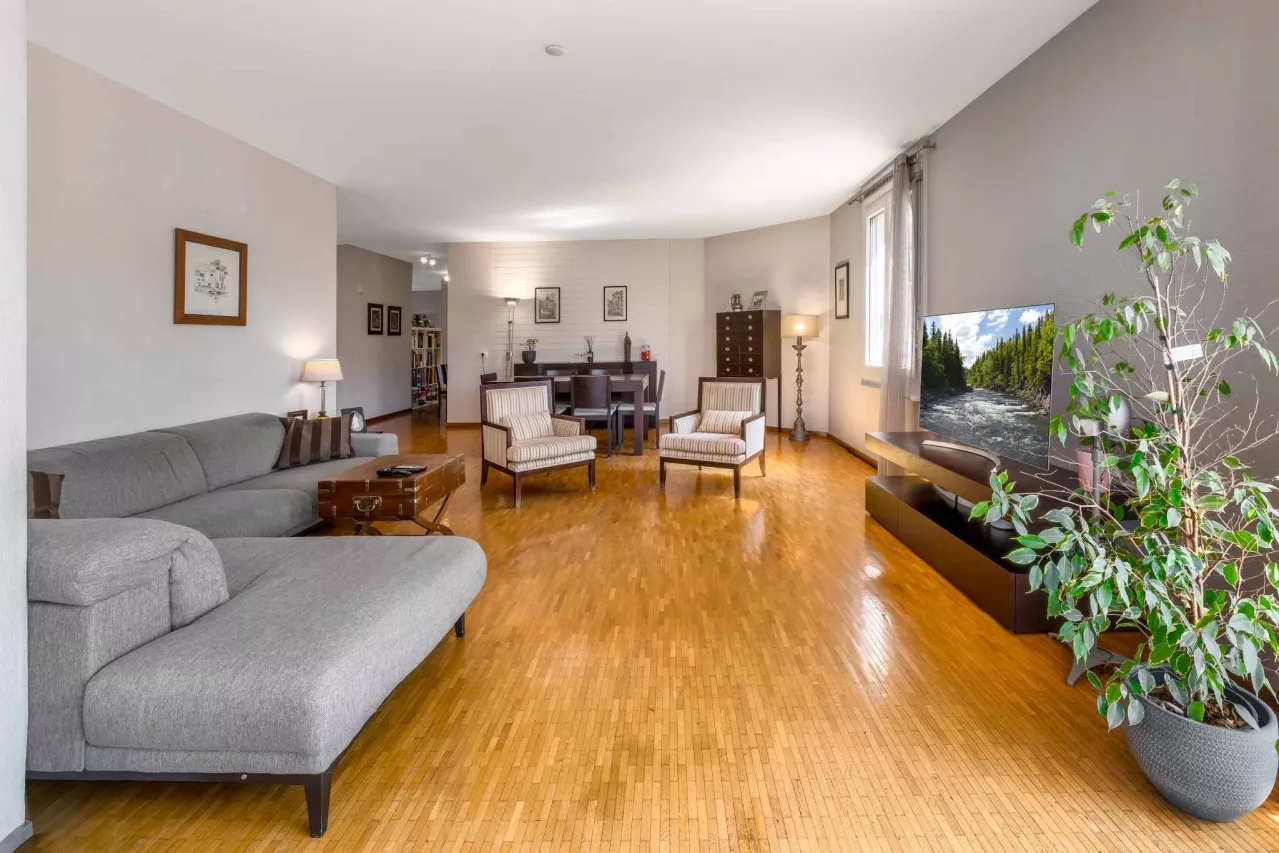 Plan-les-Ouates - Grand appartement traversant au calme