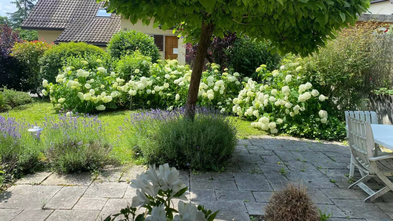 Crissier - MAISON CONTIGUE DE 5.5 PIECES