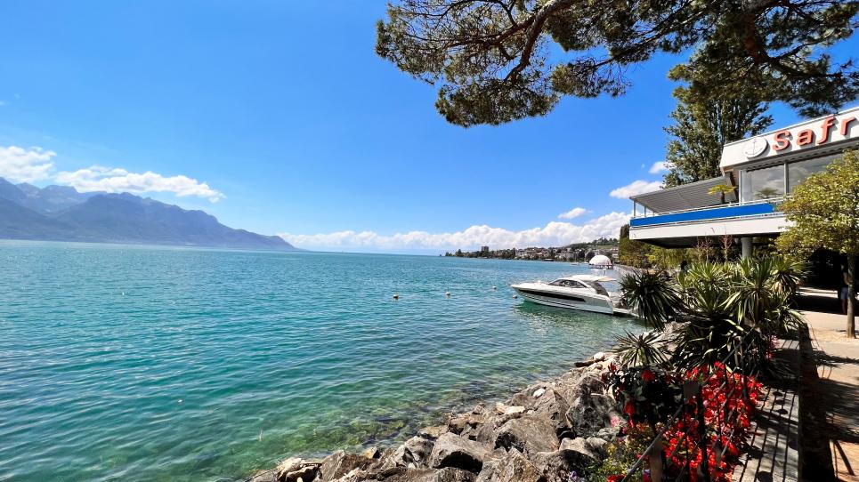 Montreux - Appartement 5.5 pièces à Montreux