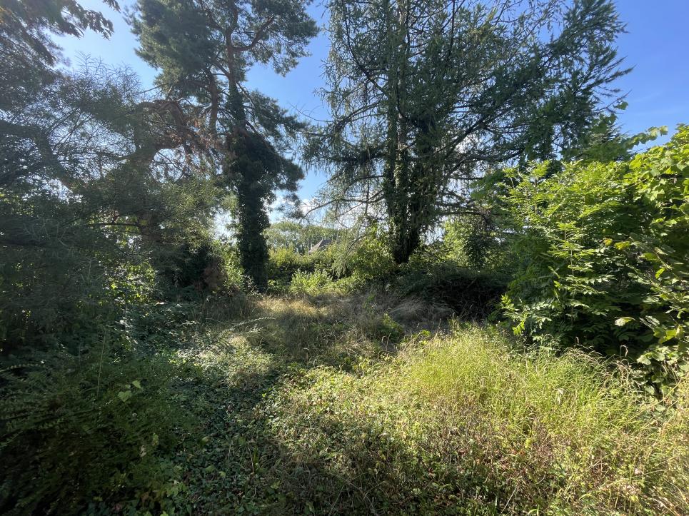 Le Mont-sur-Lausanne - Terrain au Mont-sur-Lausanne