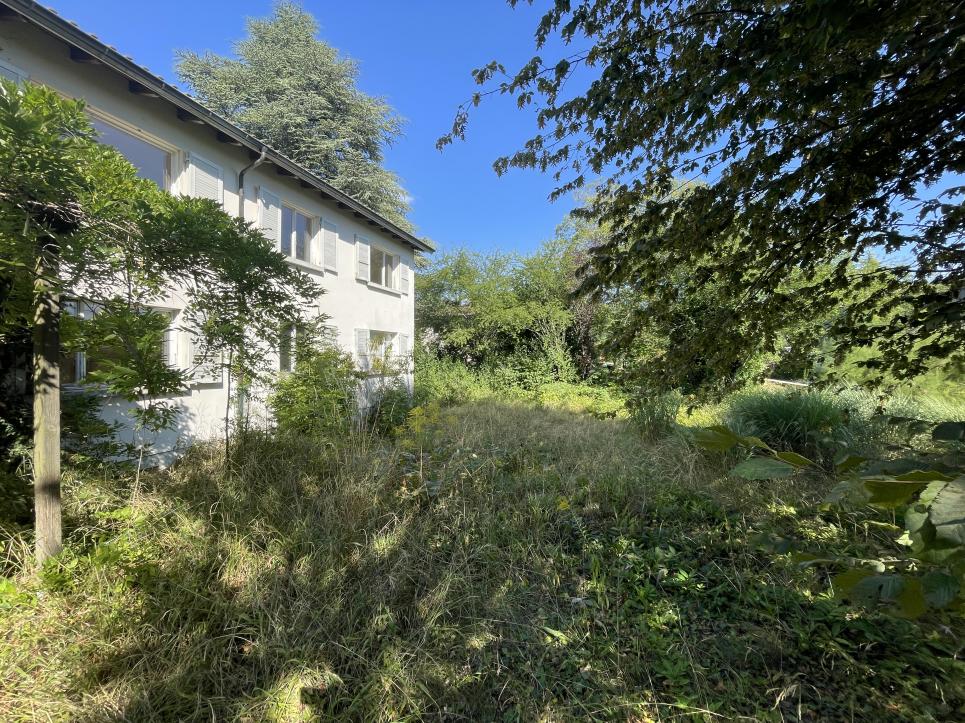 Le Mont-sur-Lausanne - Terrain au Mont-sur-Lausanne
