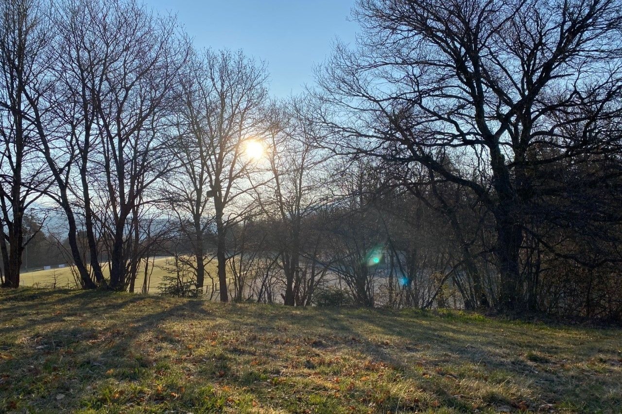 Terrain au Grand Pro