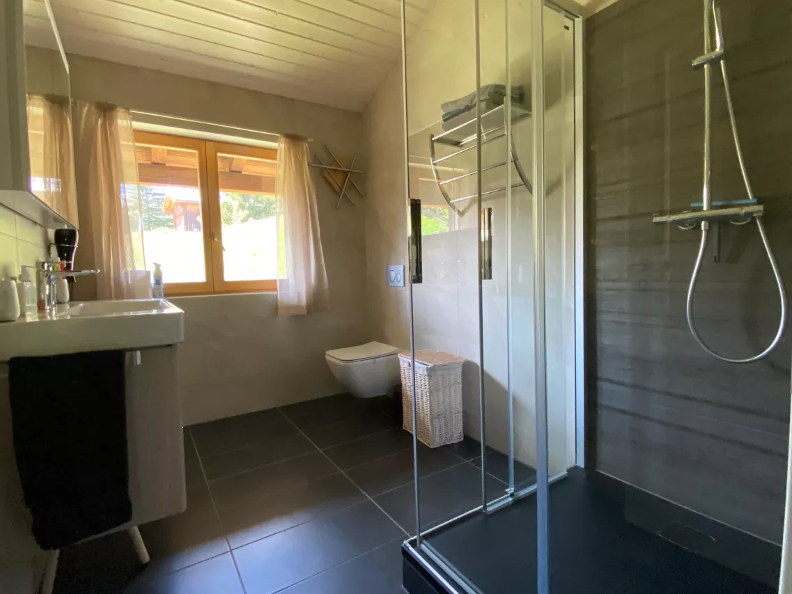 Chalet Le bosquet Arbaz