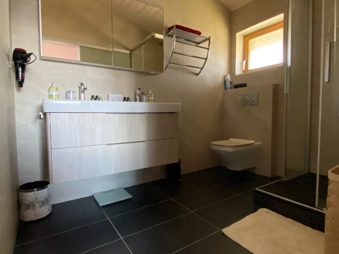 Chalet Le bosquet Arbaz