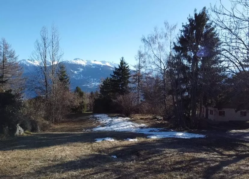 Parcelle à bâtir à Arbaz