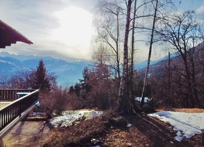 Chalet Mitoyen Matana - 8 personnes