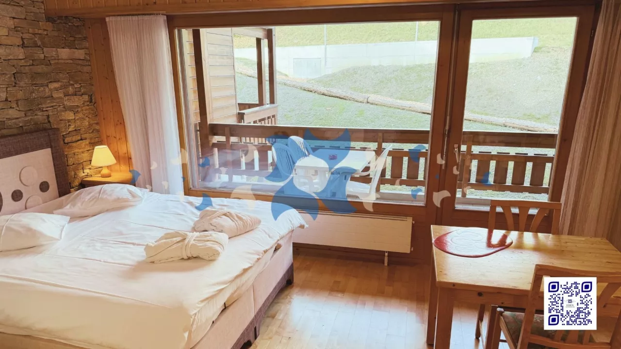 À vendre : Studio rénové avec accès direct aux bains thermaux - Les Sources - Ovronnaz, Valais