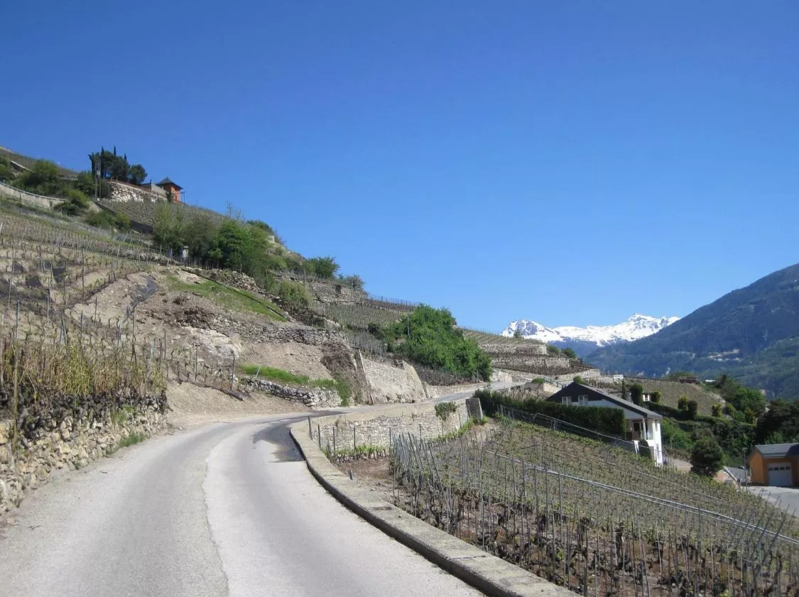 Promotion de rêve, tout proche de Sion