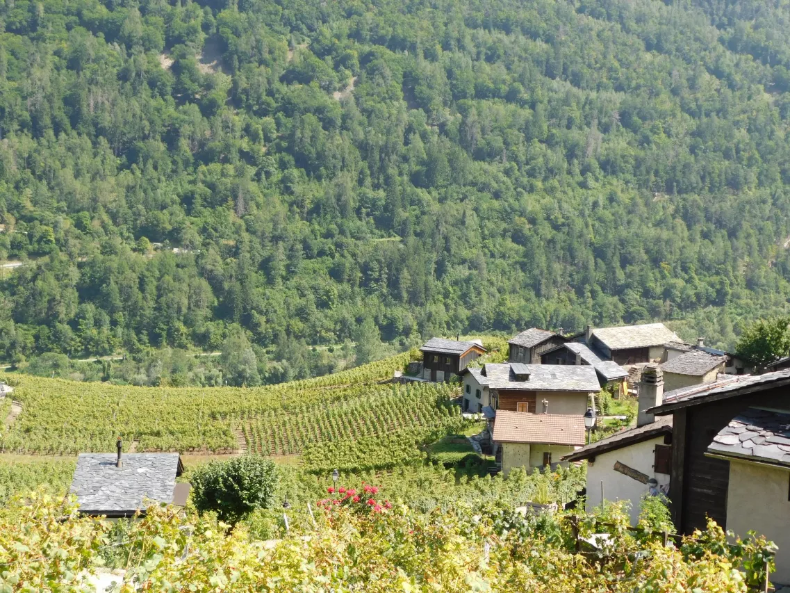 LOCATION - Charmant Mazot en location à Plan-Cerisier Martigny-Croix