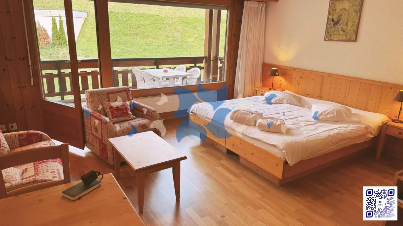 À vendre : Studio rénové avec accès direct aux bains thermaux - Thermalie - Ovronnaz, Valais