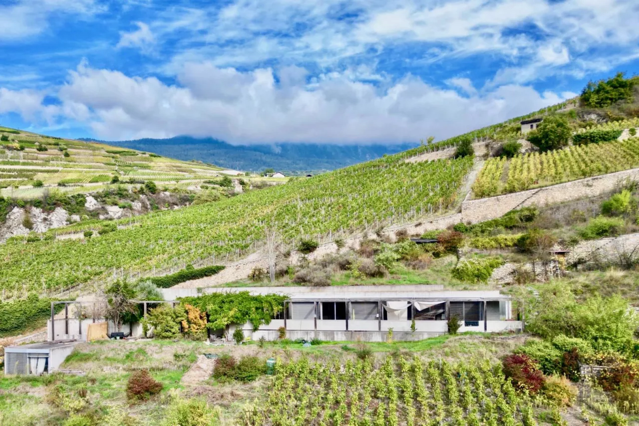 Villa d'architecture unique à Sion, bénéficiant d'une situation rare et exceptionnelle