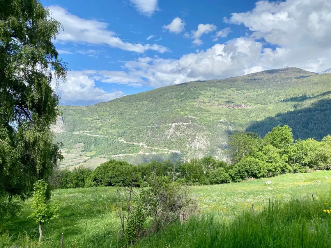 Superbe terrain à bâtir - commune de Vex - rare à la vente