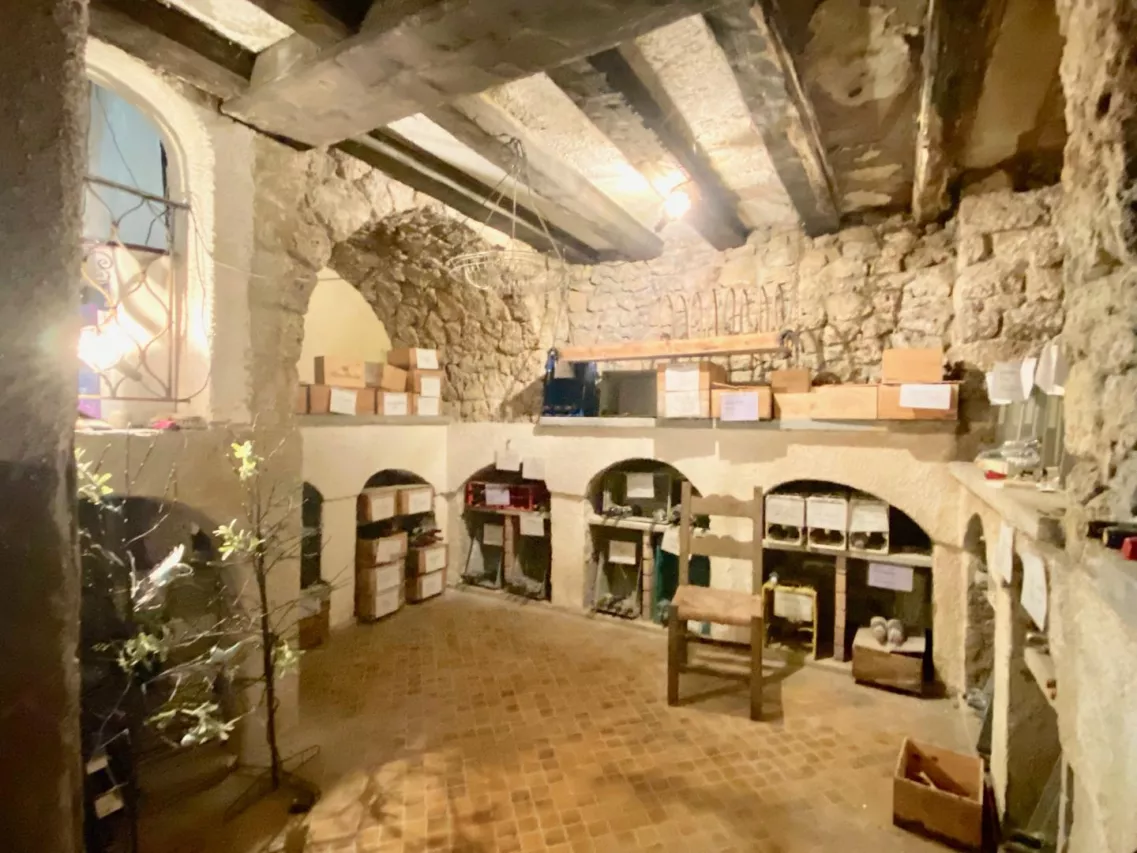 Superbe propriété de maître au centre de Sion