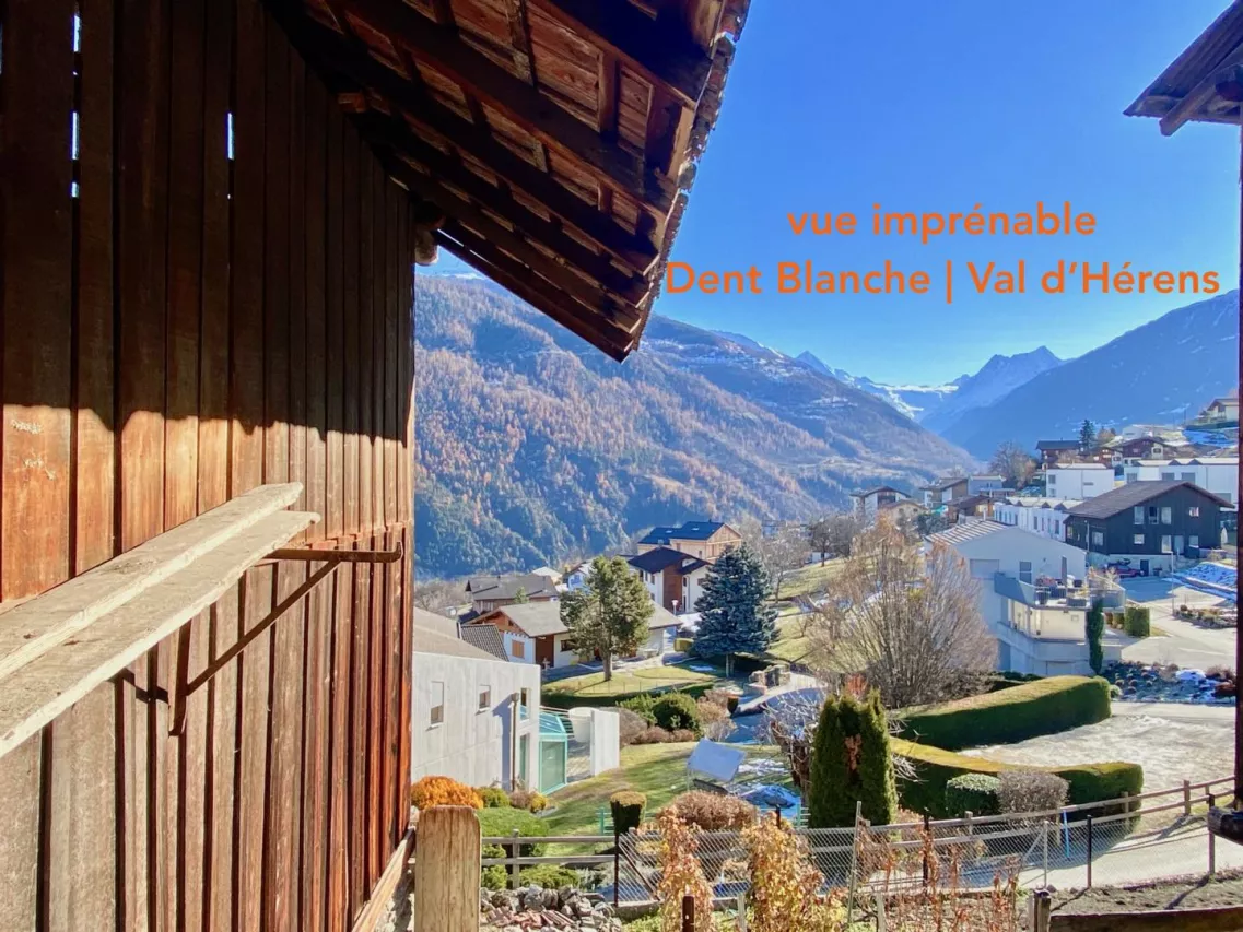 Grange de charme - Projet contemporain clé en main au coeur du vieux village de Vex
