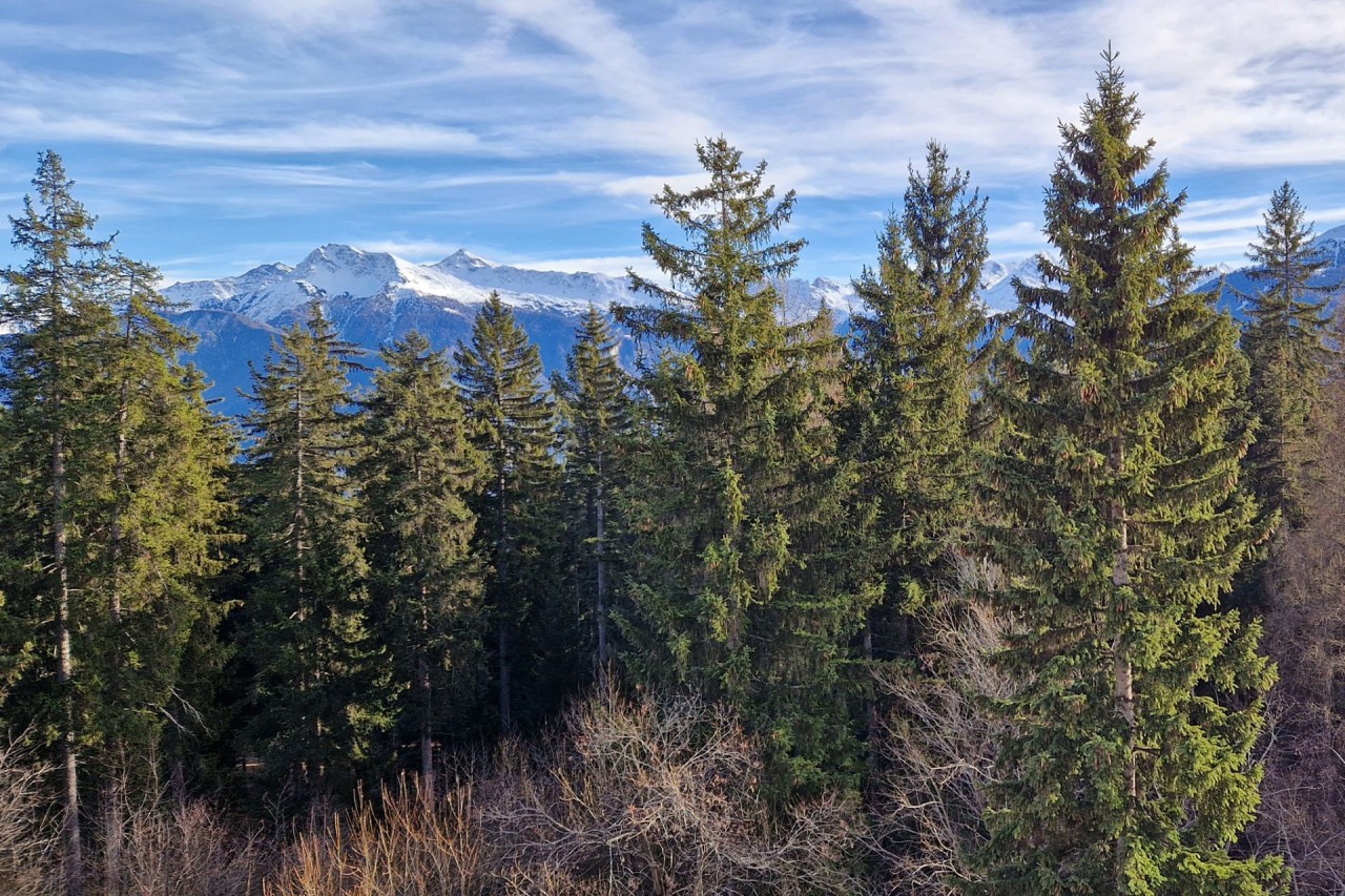 Crans-Montana. Lumineux 6.5 pièces attique proche du centre