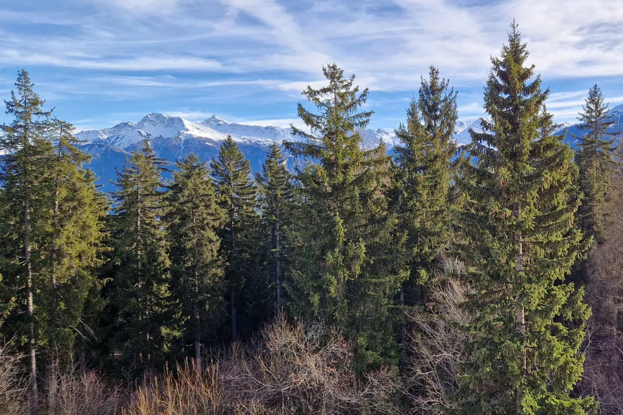 VENDU. Crans-Montana. Lumineux 6.5 pièces attique proche du centre