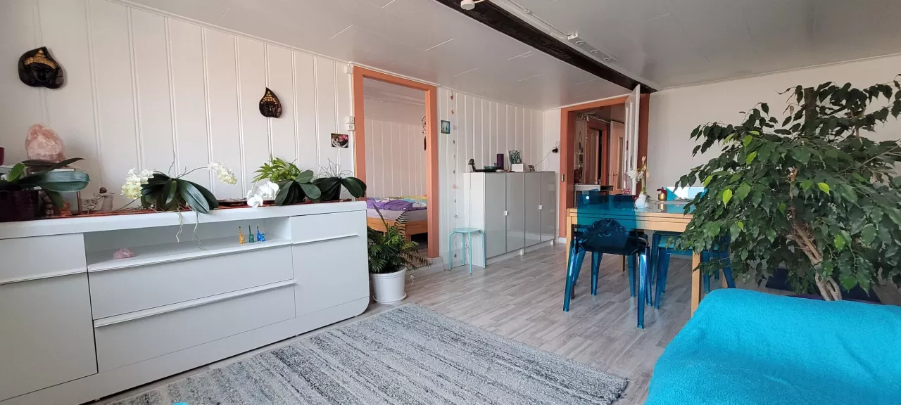 Maison de rendement de 2 appartements avec vue sur la vallée du Rhône