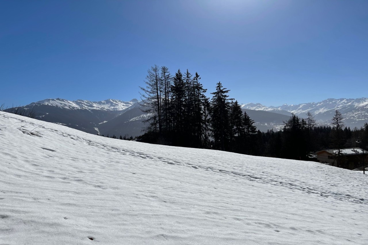 A construire à Crans - Cadre Verdoyant, vue montagnes