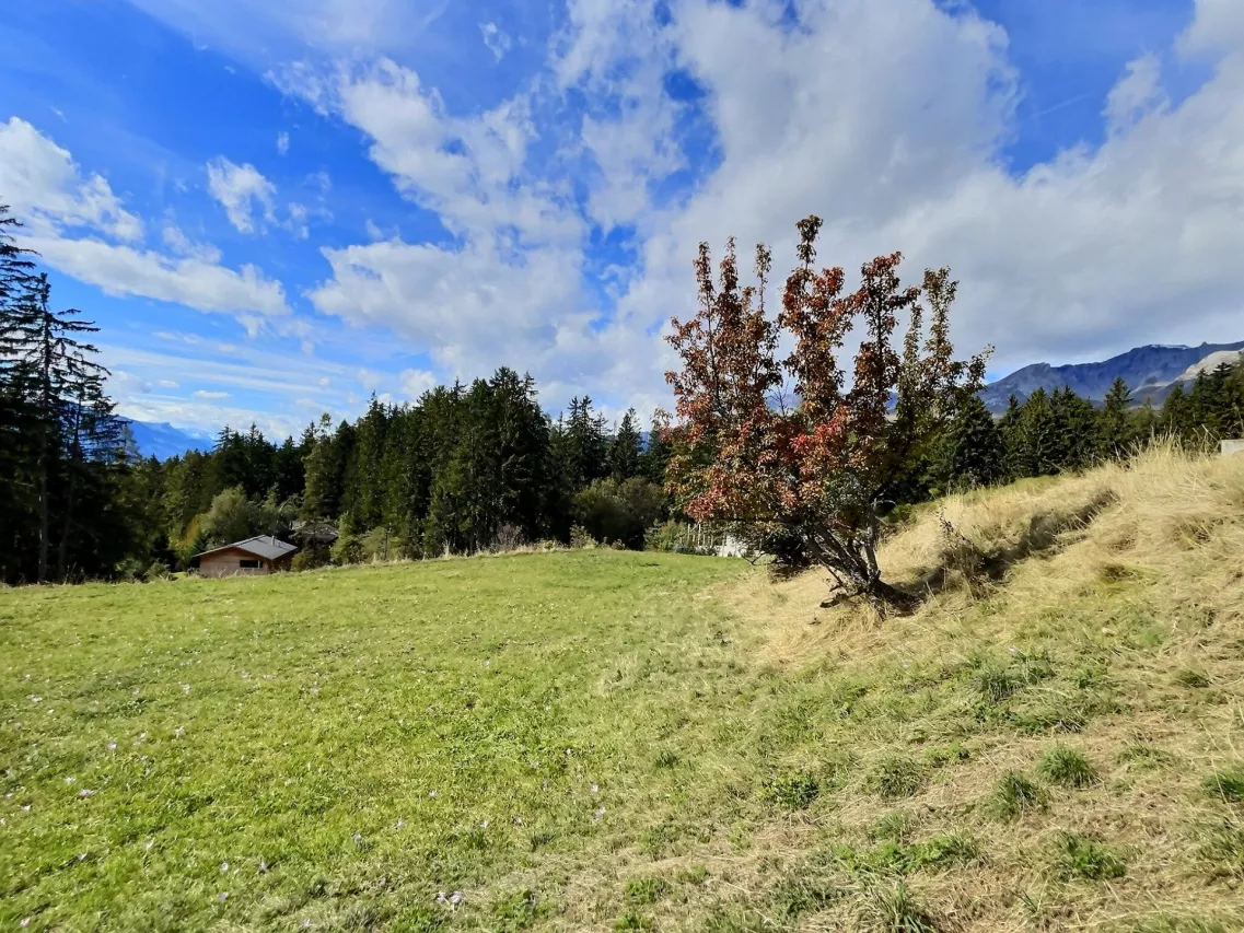 A construire à Crans - Cadre Verdoyant, vue montagnes