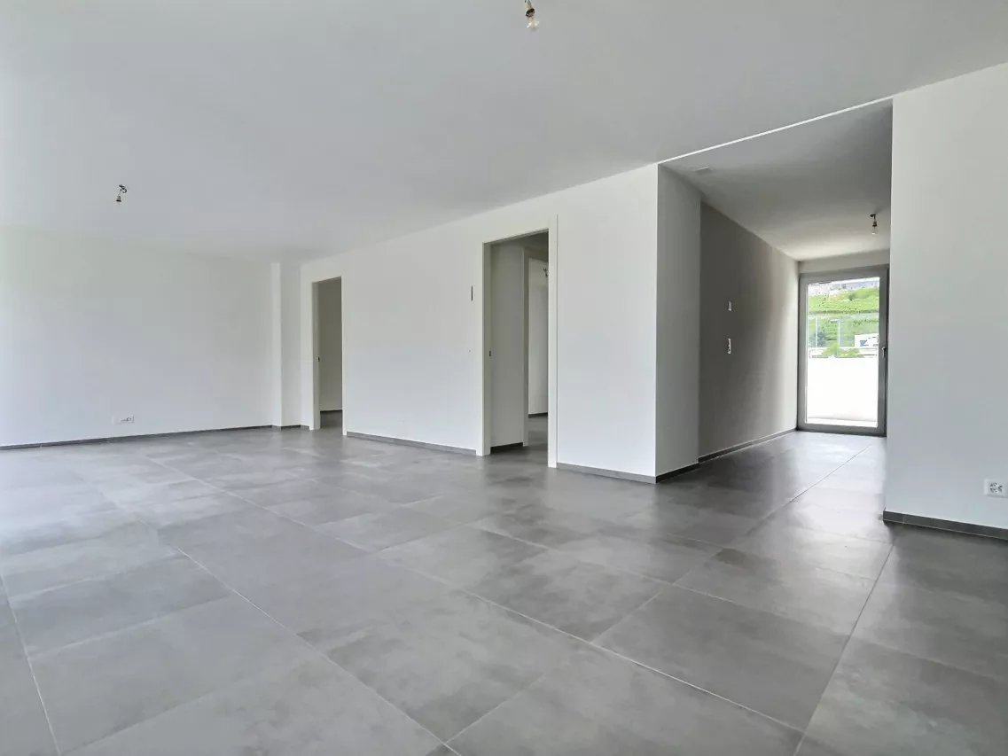 Attique rooftop - appartement traversant de 3.5 pièces 