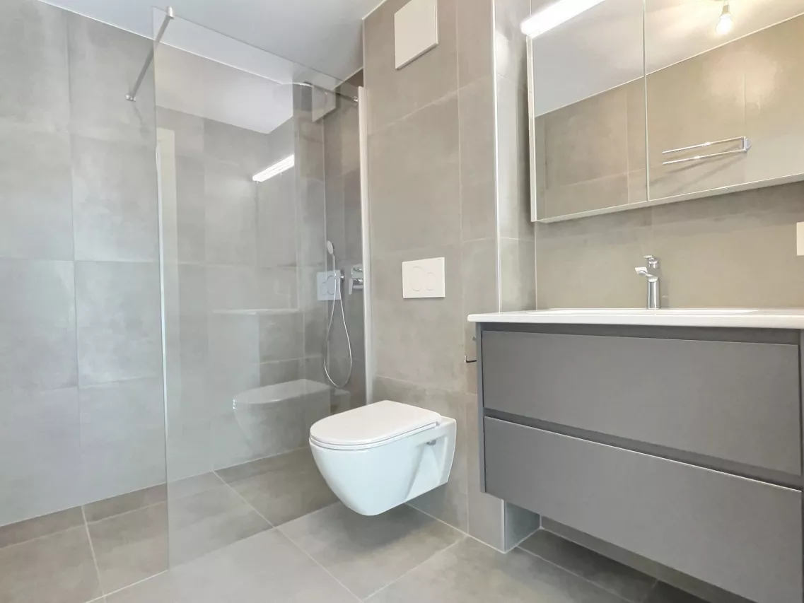 Attique rooftop - appartement traversant de 3.5 pièces 