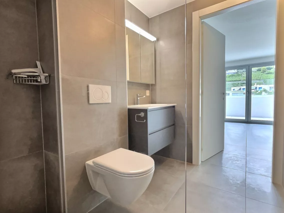 Attique rooftop - appartement traversant de 3.5 pièces 
