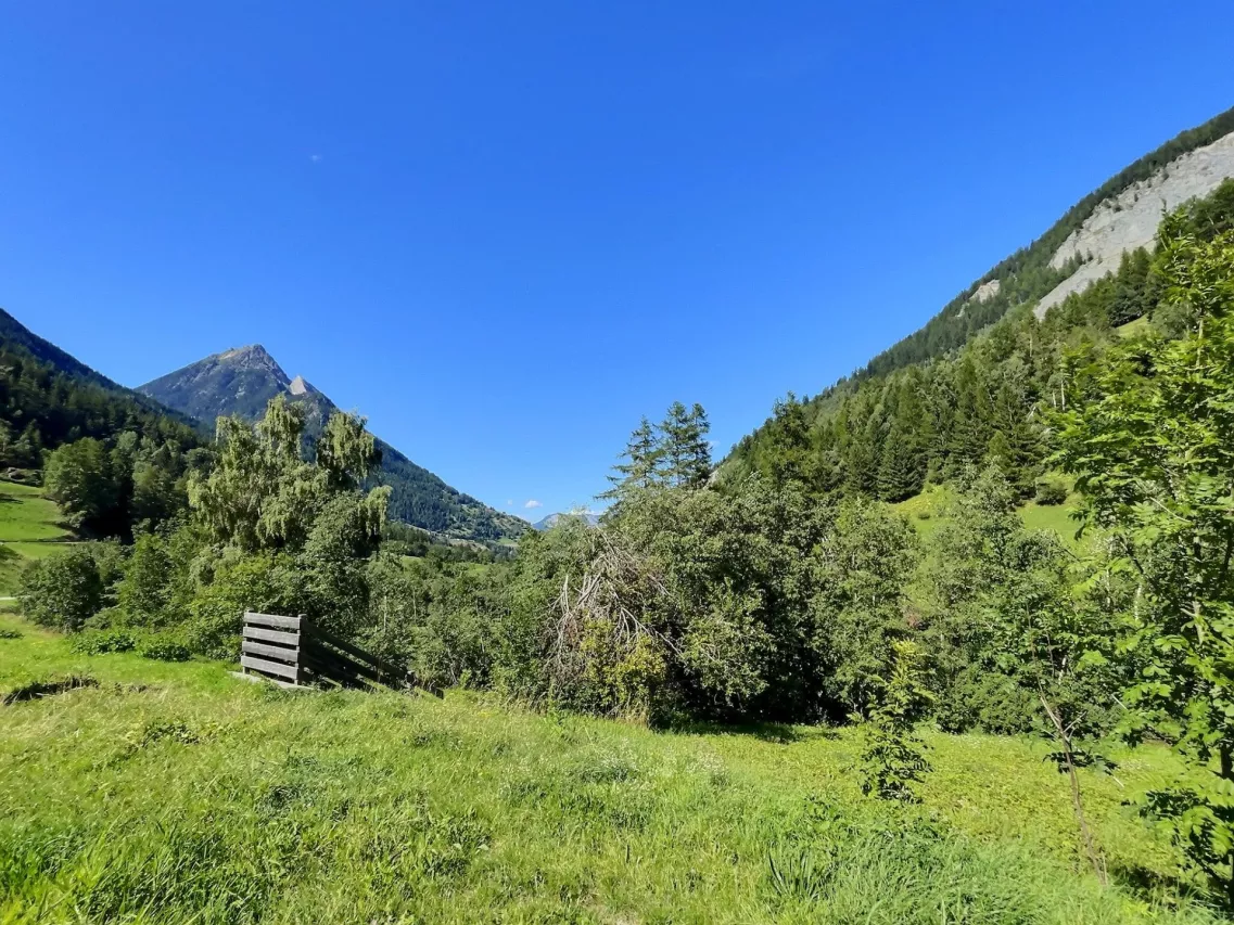 Affaire à saisir! Maison villageoise avec 2 appartements