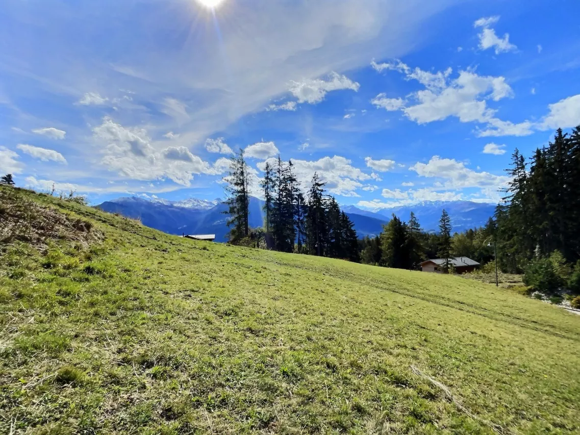 Parcelle à construire à Crans-Montana - Cadre Verdoyant, vue montagnes