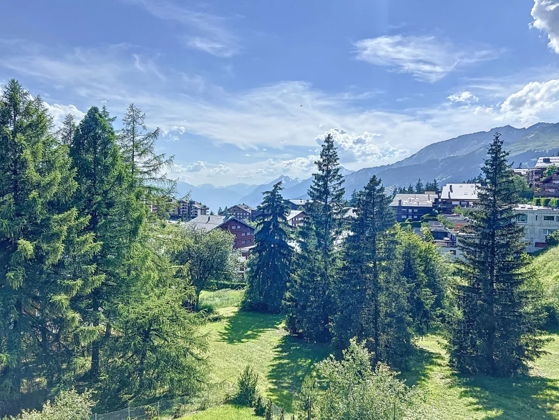 Charmant 4.5 pièces à quelques pas du centre de Crans