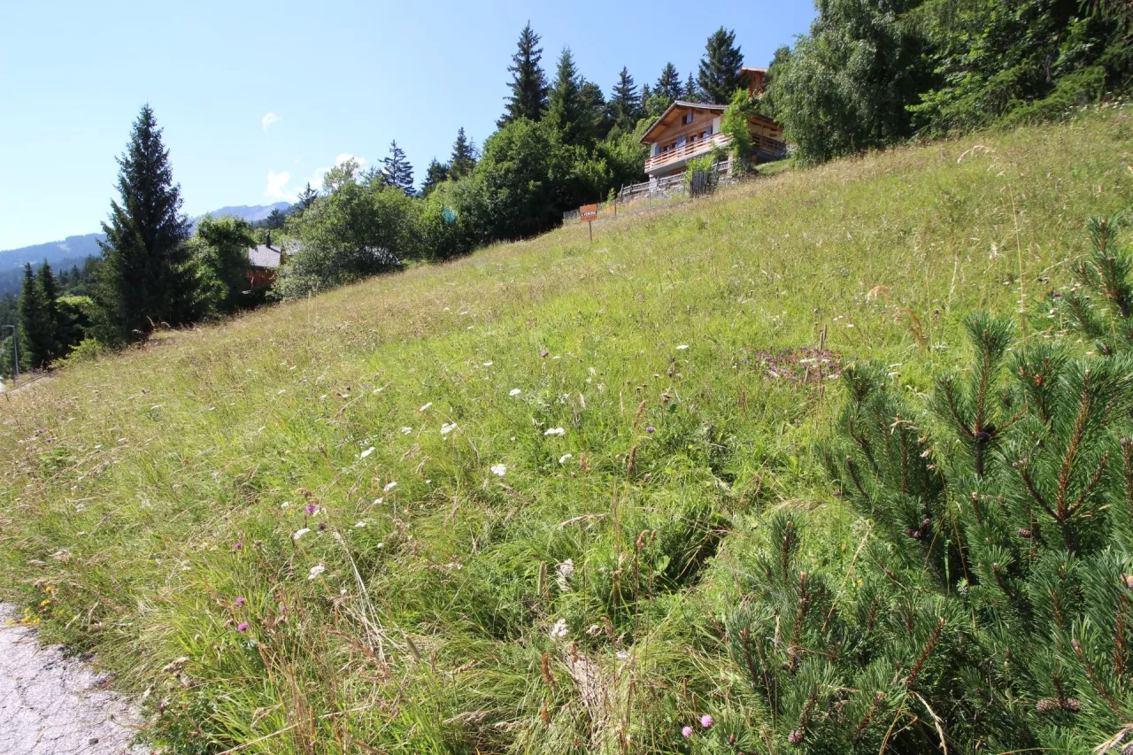 Magnifique parcelle dans un coin de nature avec vue à 180° à Aminona (Crans-Montana)